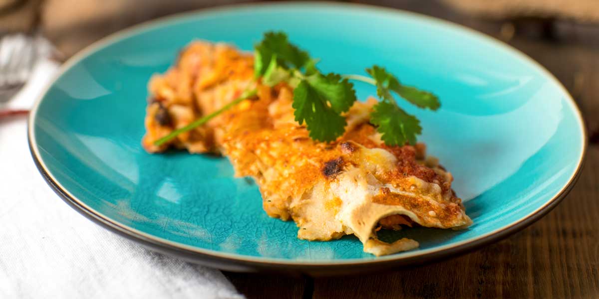 enchiladas with cheese